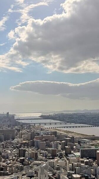乐鱼体育登录-乐鱼体育登录，无缝连接运动爱好者与数字平台的新窗口